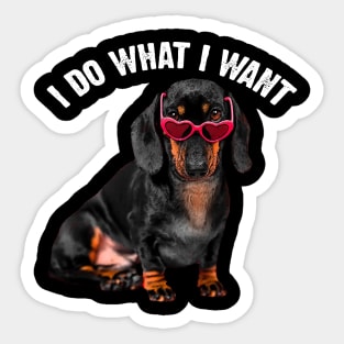 Sausage Symphony Dachshund Charm, I Do What I Want Dog Lovers Sticker